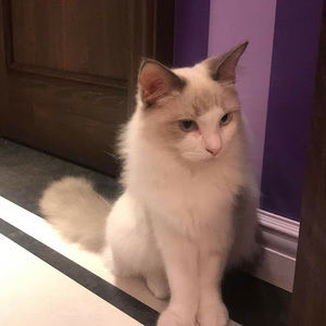 Meet your Posher, Kari